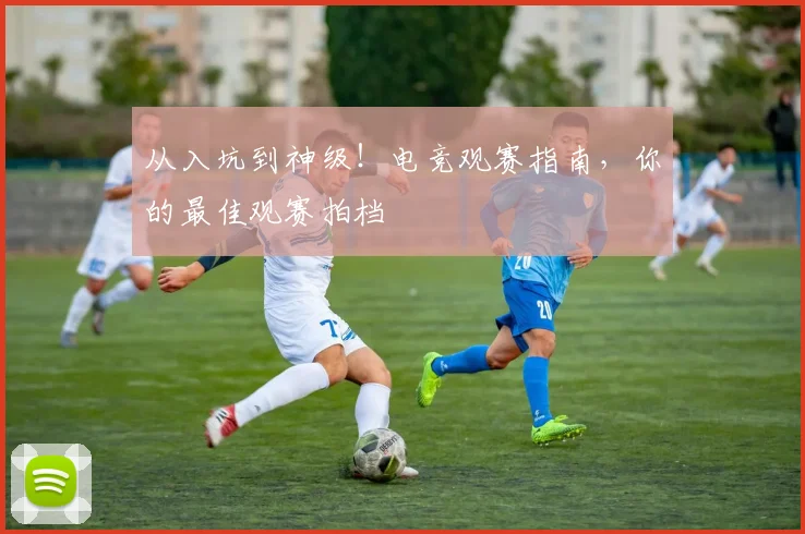 从入坑到神级！电竞观赛指南，你的最佳观赛拍档