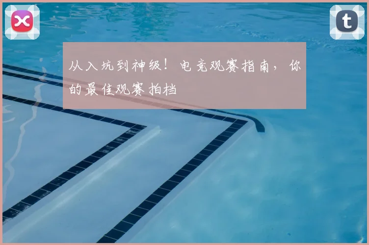 从入坑到神级！电竞观赛指南，你的最佳观赛拍档
