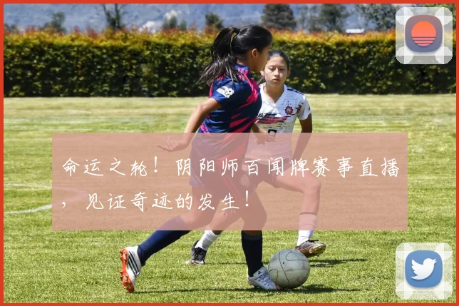 命运之轮！阴阳师百闻牌赛事直播，见证奇迹的发生！